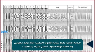 «بوابة الأزهر» رابط نتيجة الثانوية الأزهرية 2025 برقم الجلوس natiga.azhar.eg وكيف تحصل عليها بالخطوات